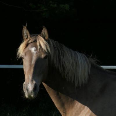 P1007732 2